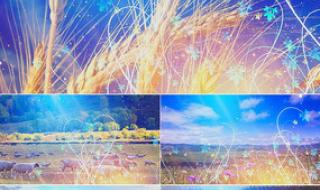 打起手鼓唱起歌舞蹈 打起手鼓唱起歌舞蹈